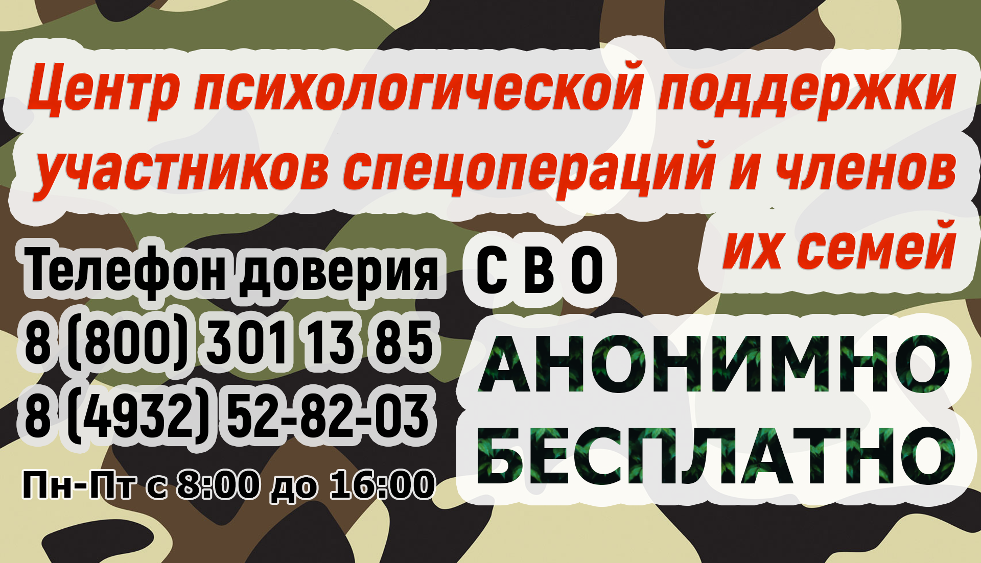 За полисом – в МФЦ - ОБУЗ «Палехская центральная районная больница»